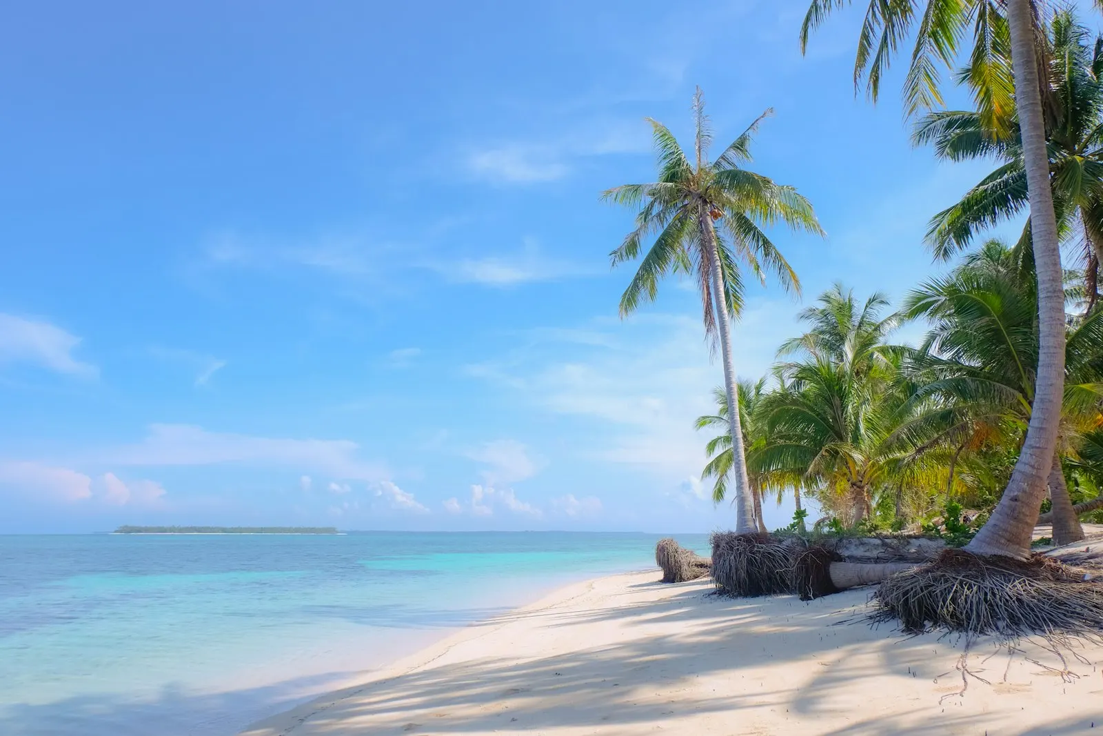 Tropical beach with palm trees and clear water