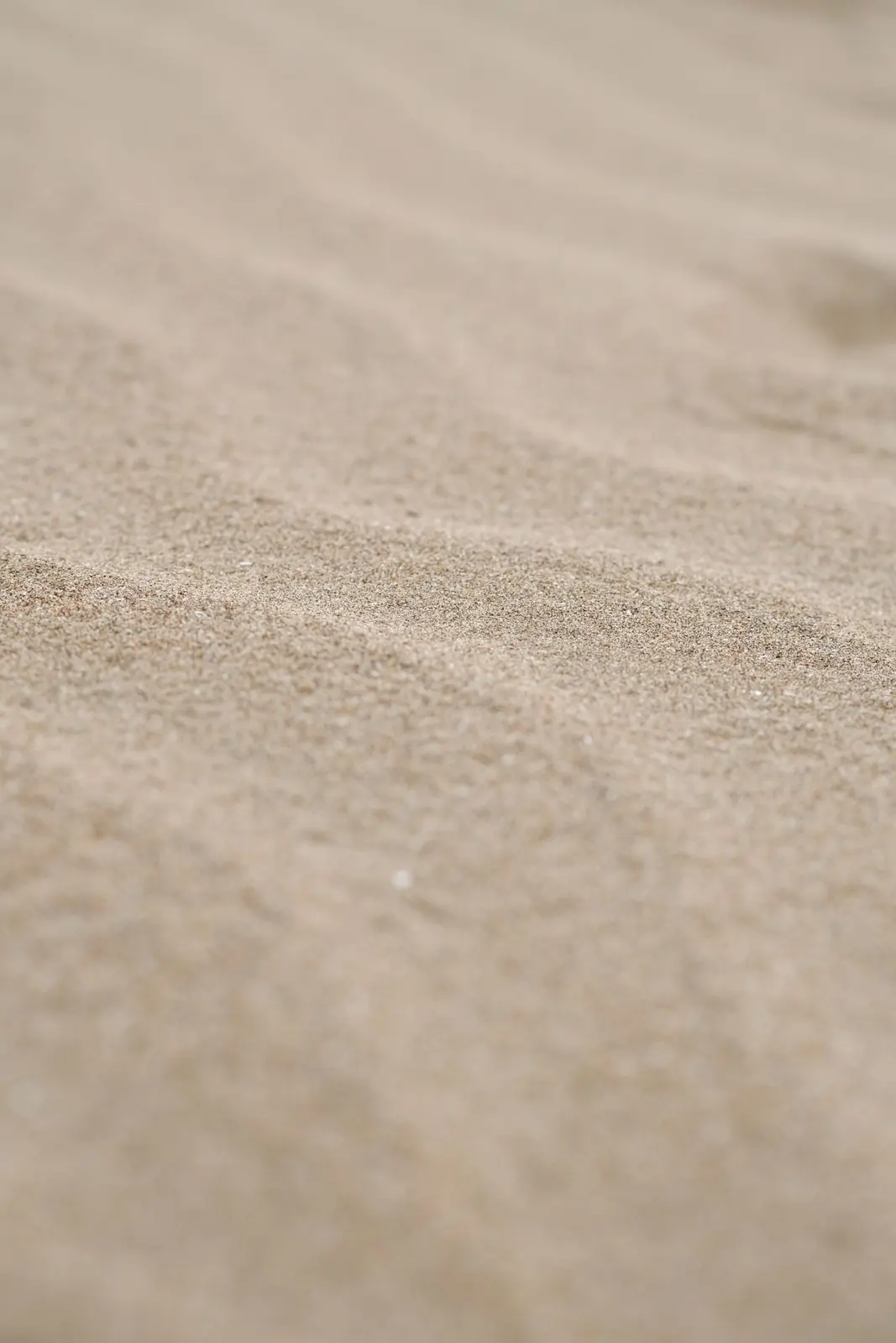 Wind-rippled beach sand